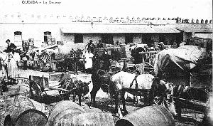 BIVEN Georges - 348 - Oujda
